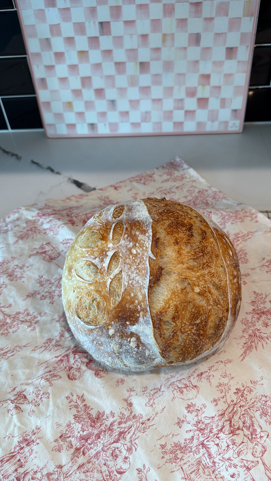 Plain Sourdough Loaf